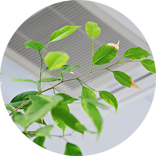 Indoor Air Quality Assessments | Occupational Hygiene Consulting Services